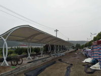 陕西猕猴桃市场