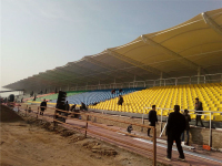 d301a0962be58412a780e79e8f7ac24