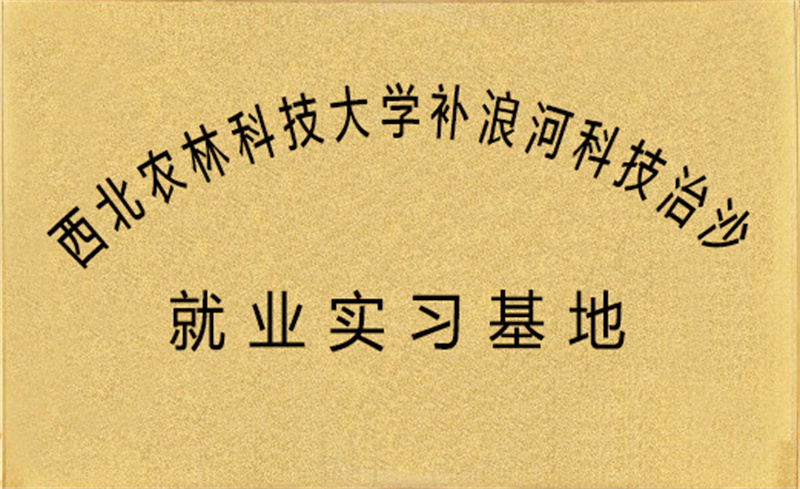 image-20250109103031-1