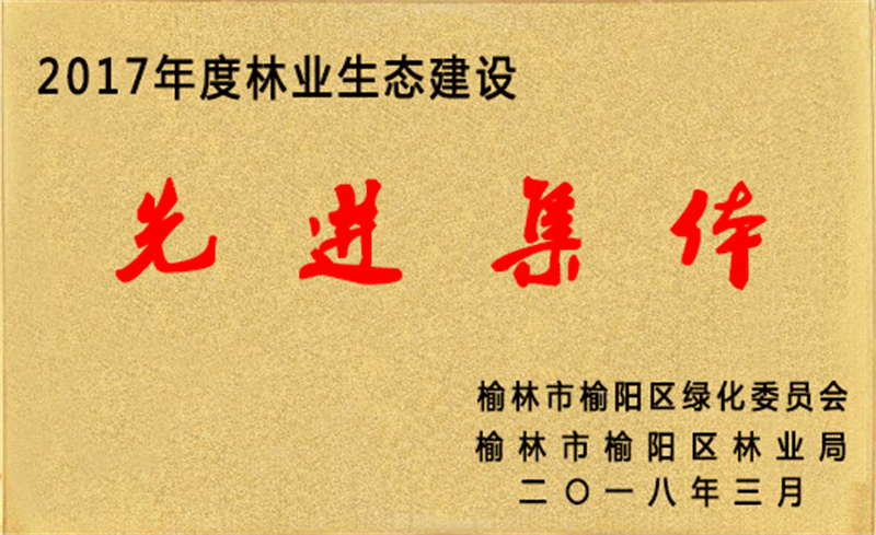 image-20250109103243-1