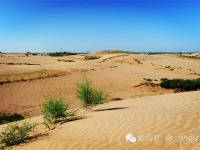 image-20250109103838-1