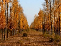 image-20250109103900-1