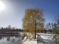 image-20250109103925-1