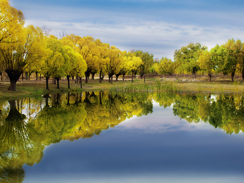 image-20250109103946-1