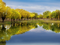 image-20250109103946-1