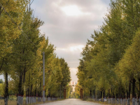 image-20250109104024-1