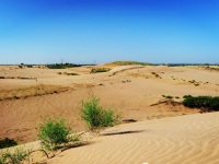 image-20250109104106-1