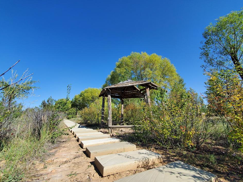 image-20250109104118-1