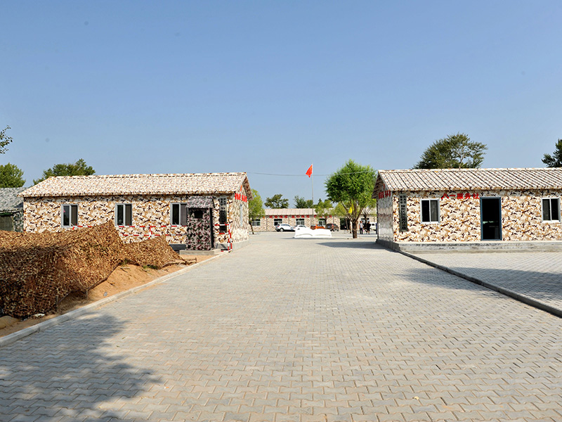 image-20250109104227-1