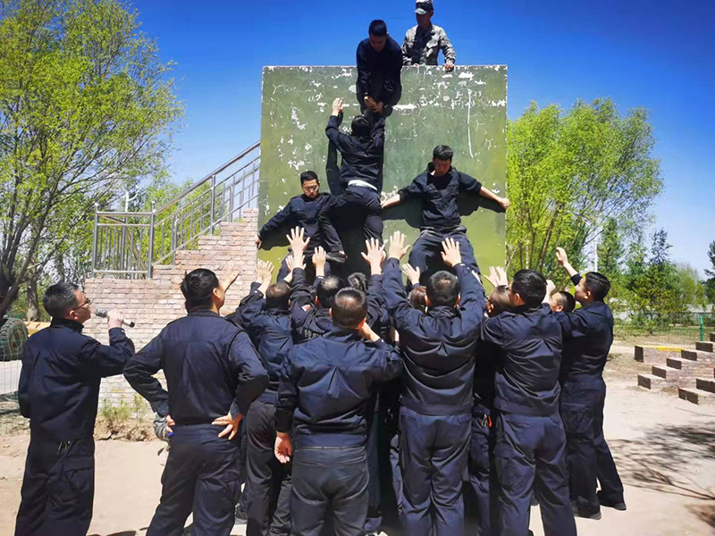 image-20250109104311-1