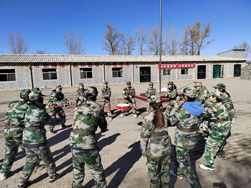 image-20250109104332-1