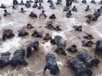 image-20250109104538-1