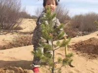 image-20250109104748-1