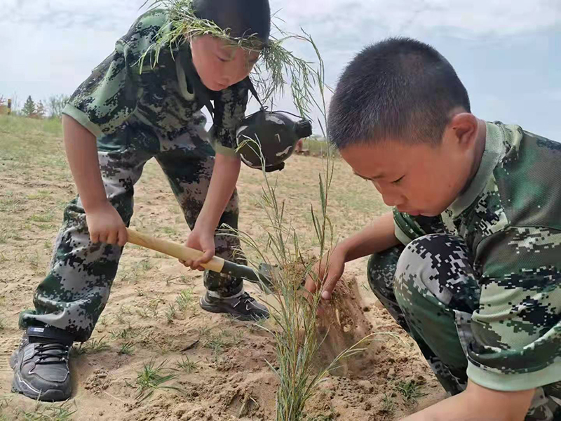 image-20250109104801-1