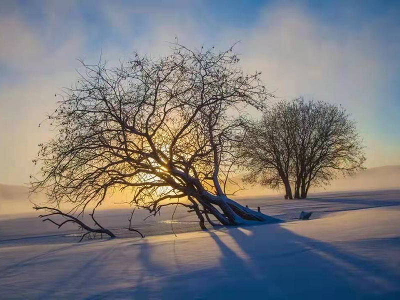 image-20250109104900-1