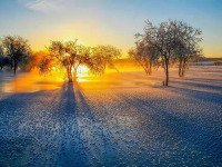 image-20250109104910-1