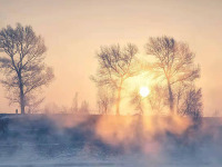 image-20250109104920-1