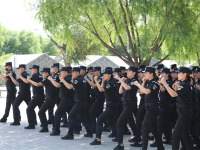 image-20250109105413-1