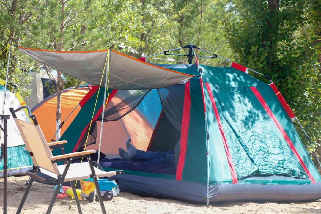 image-20250109110553-5