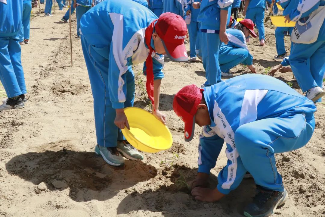 image-20250109110619-1