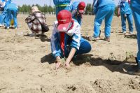 image-20250109110623-3