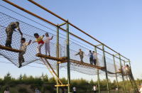 image-20250109111204-1