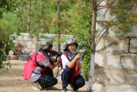 image-20250109111500-1