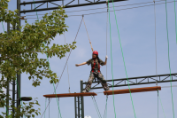 image-20250109111605-3