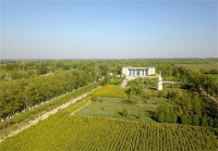 image-20250109113828-9