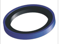 image-20250110165457-1