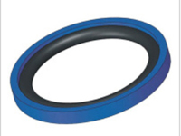 image-20250110165614-1