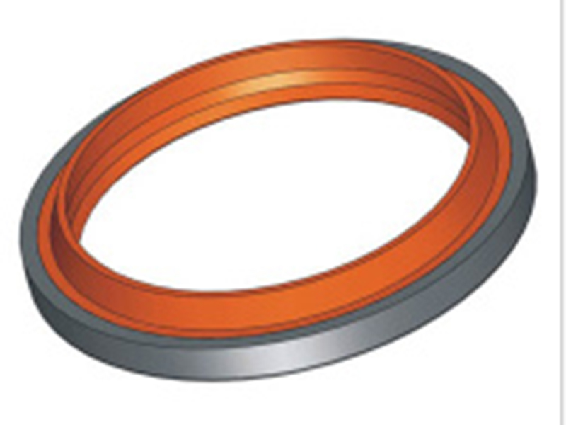 image-20250110170459-1