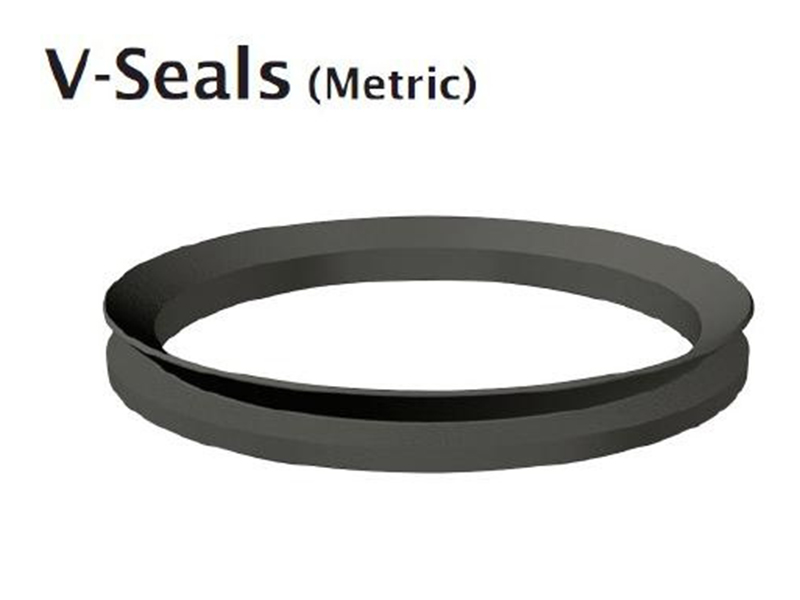 image-20250110173234-1