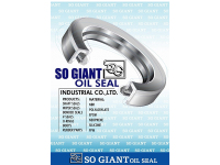 image-20250110173316-1