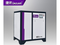 image-20250106110414-1