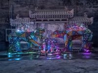 北极熊发光效果-2-