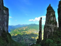 image-20240611105522-1