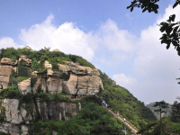 image-20240611105626-1