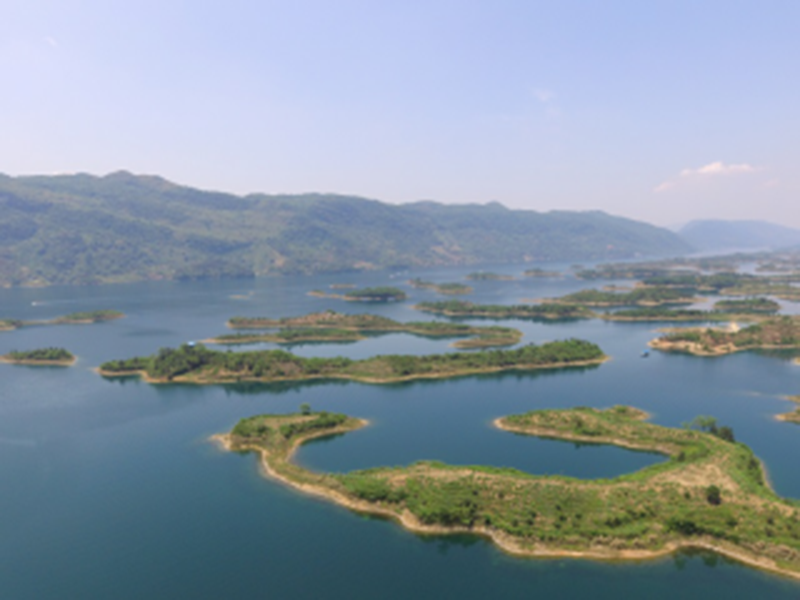 image-20240611105741-1