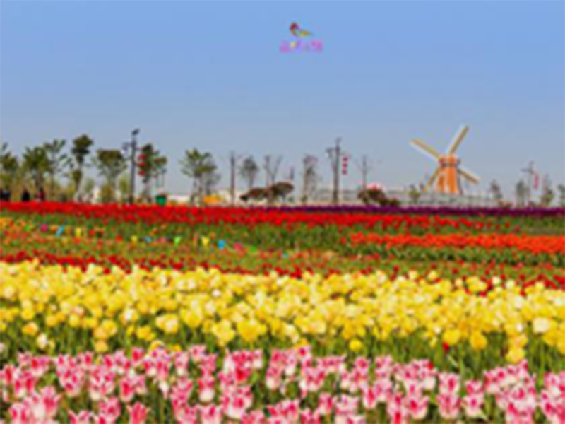 image-20240611105824-1