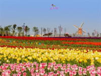 image-20240611105824-1