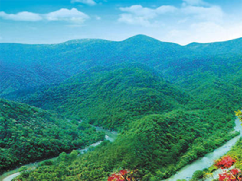 image-20240611105853-1