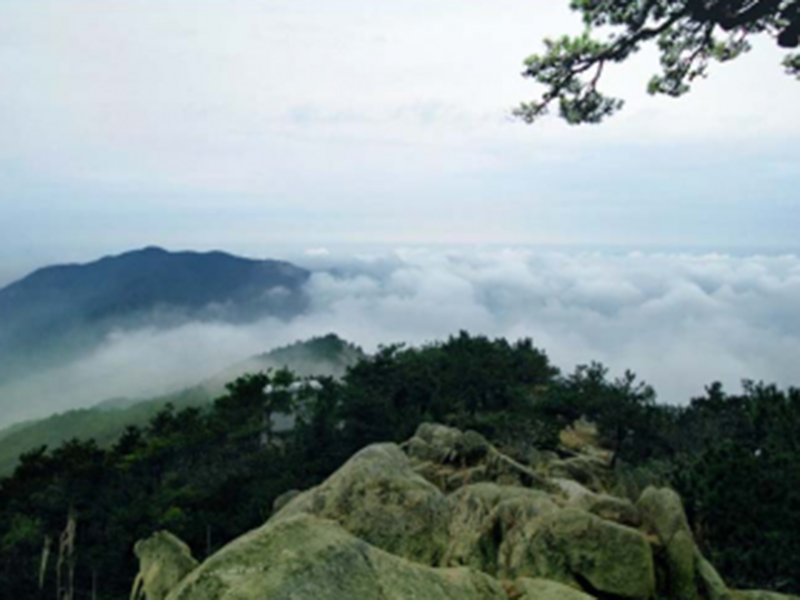 image-20240611110135-1