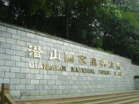 image-20240611110423-1