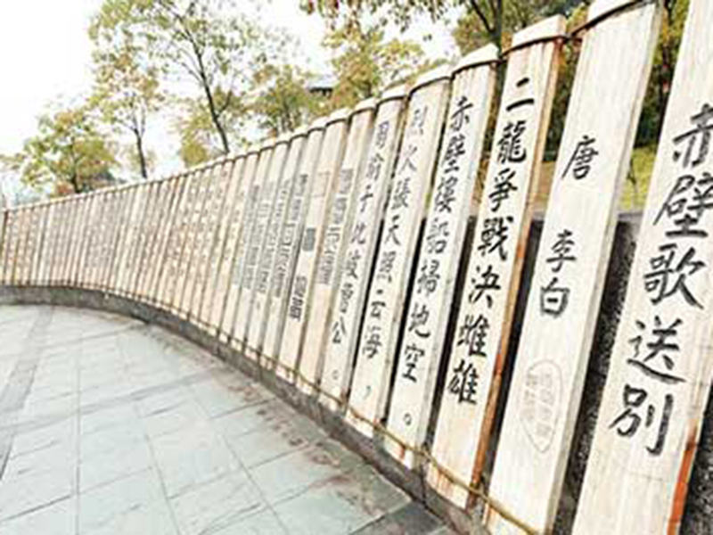 image-20240611110449-1