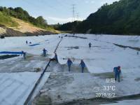 01c190b155934c55c7acd55d7a34852