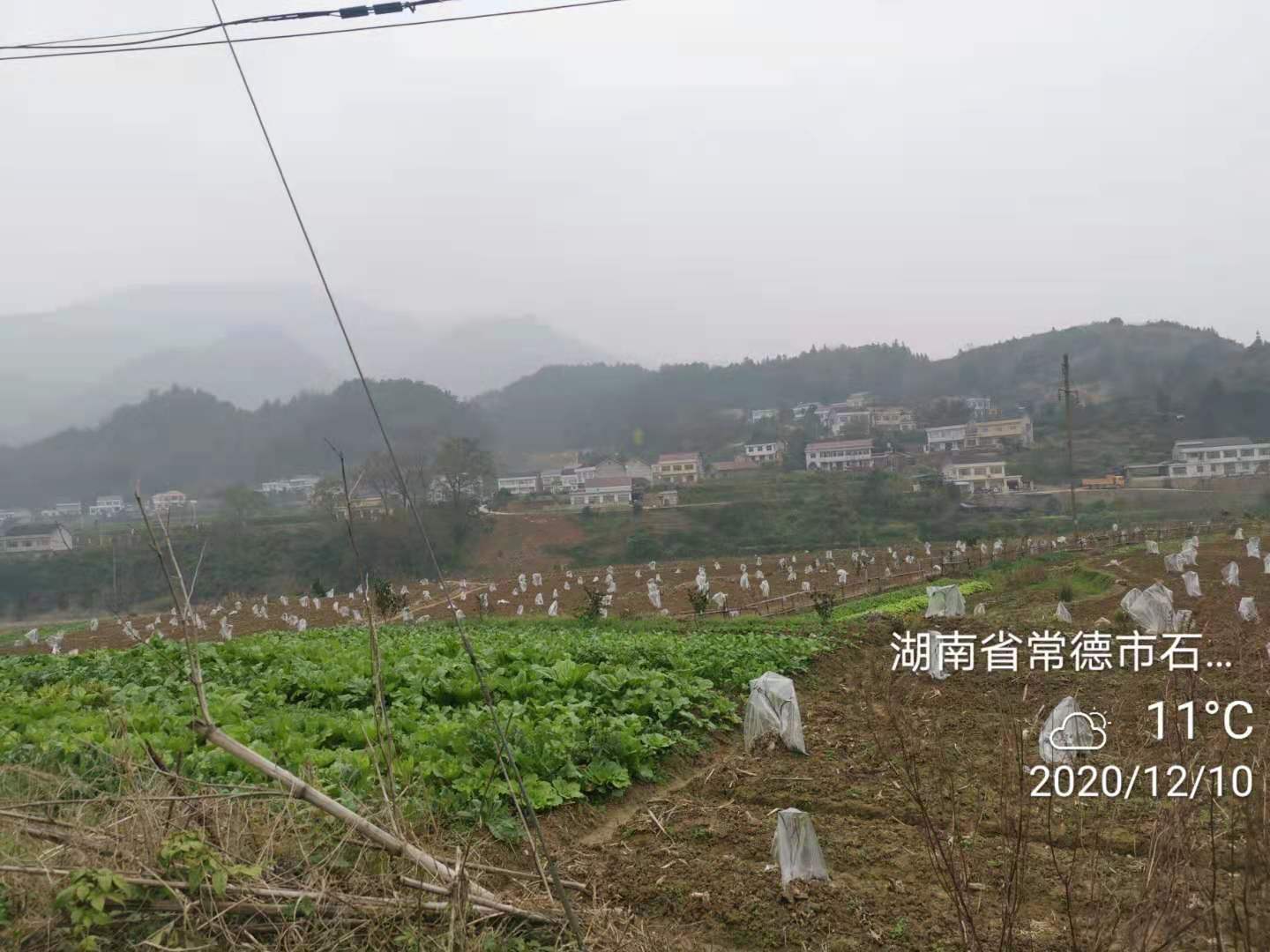 34af04a856c8586588efbc891f25bbc