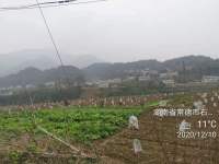 34af04a856c8586588efbc891f25bbc