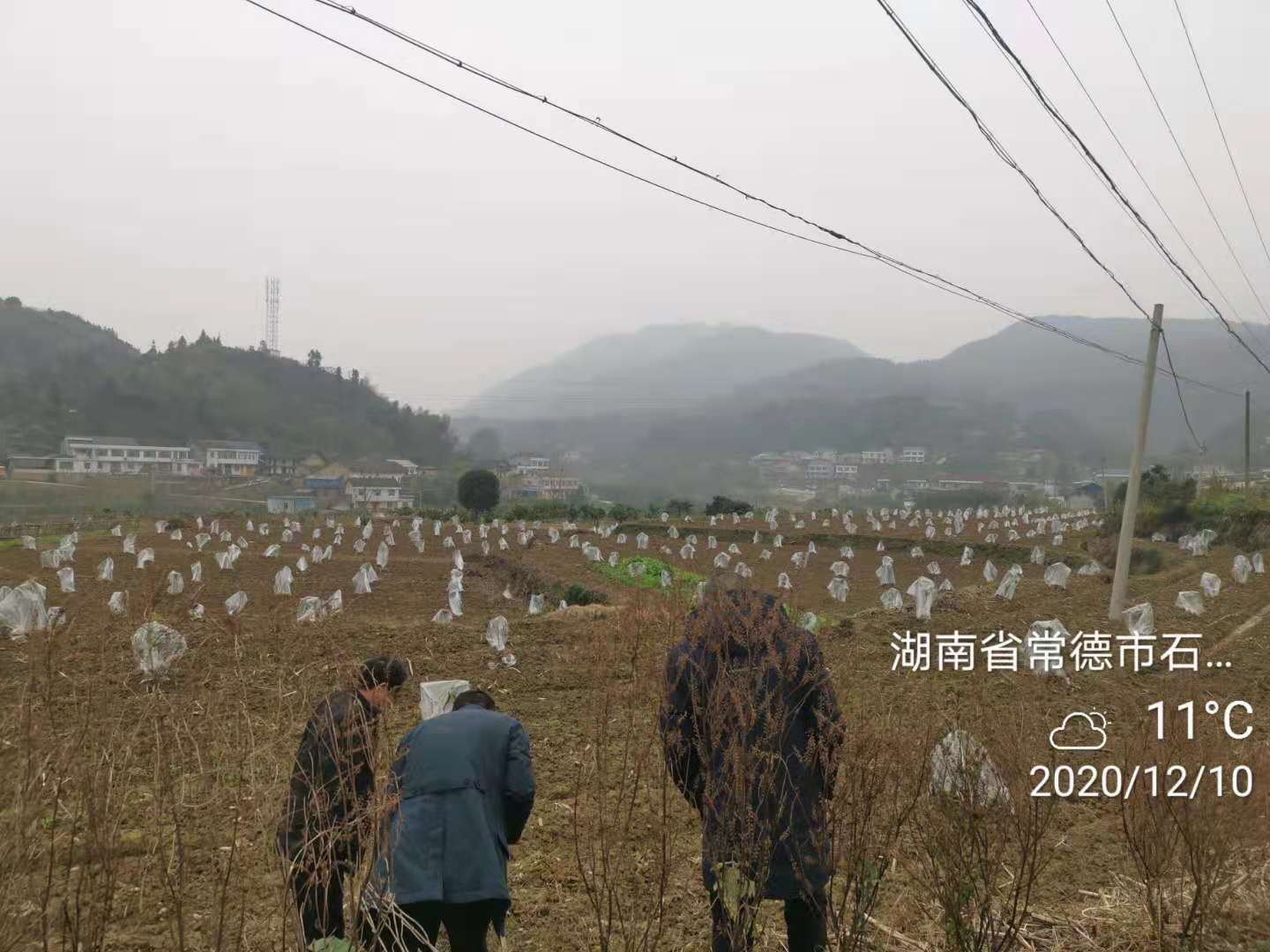 6c419e012231338564f4ba1543e3f21