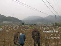 6c419e012231338564f4ba1543e3f21